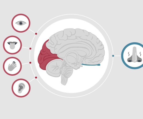 Biofeedback et le corps